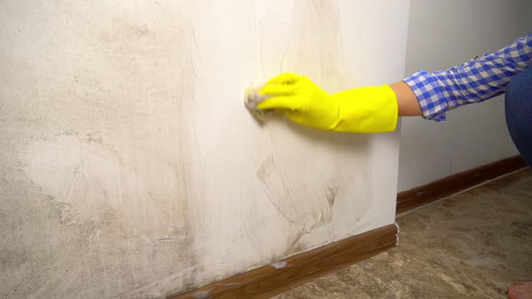  , USA Mold Removal Pros